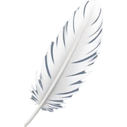 dove feather sticker