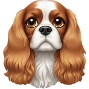 Cavalier King Charles Spaniel sticker