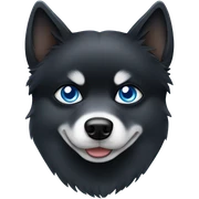 Black pomsky with white eyebrows and muzzle with blue eyes sticker