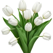 White tulips sticker