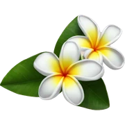 plumeria sticker