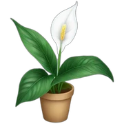 peace lily sticker