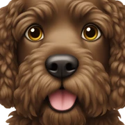 Dark brown doodle dog adult sticker