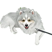 dog lying in clover patch sticker