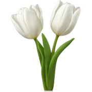 white tulips sticker