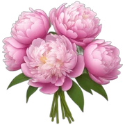 Bouquet of peonies  sticker