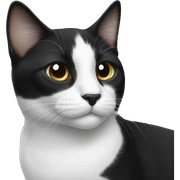 Black and white cat sticker