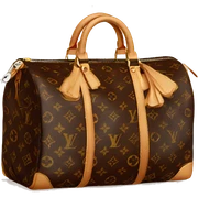 Louis vuitton  sticker