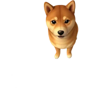 realistic shiba inu portrait sticker
