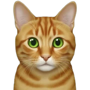 Ginger-and-brkwntortoise-cat-green-eyes sticker
