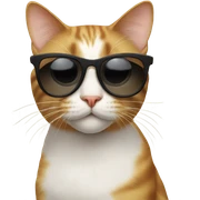 Cat with sunglasses sticker