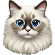 ragdoll cat sticker