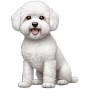 bichon frise sticker
