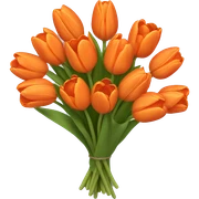 orange tulip bouquet  sticker