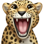 leopard growls sticker
