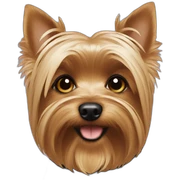 yorkie sticker