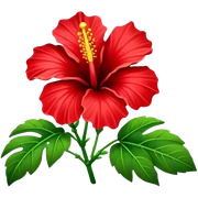 Hibiscus sticker