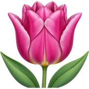 Pink tulip sticker