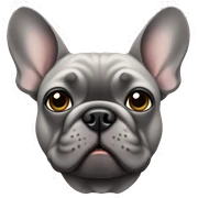 Grey French Bulldog sticker