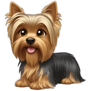Yorkshire terrier sticker