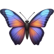 Butterfly  sticker