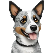 Blue heeler sticker