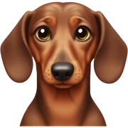 Dachshund  sticker