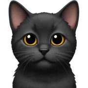 Black munchkin cat sticker