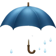 Rain sticker