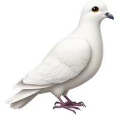 white dove sticker