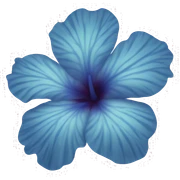 Blue hibiscus flower sticker