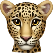 heart leopard sticker