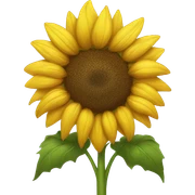 Sunflower sticker