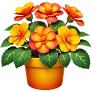 Isolated, ultra vivid and realistic, 3D rendering, Yellow orange and red Begonia sticker