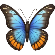 Butterfly  sticker