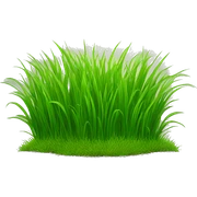 grass sticker