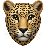 leopard heart sticker