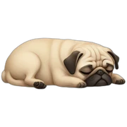 pug sleeping sticker