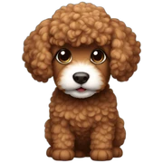 Brown mini pudel sticker