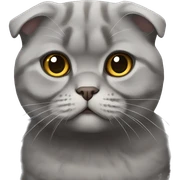Gray Scottish fold sticker