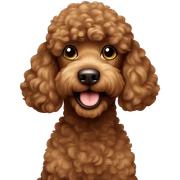 brown poodle sticker