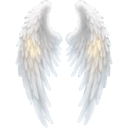 Angel wings sticker