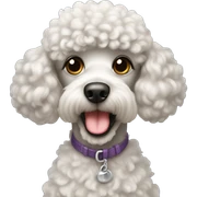 Poodle sticker
