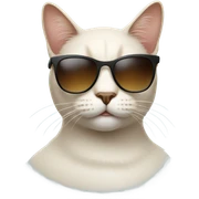 Cat with sunglasses sticker
