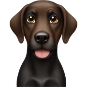 Black brown dog  sticker