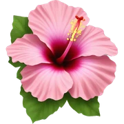 hibiscus  sticker