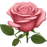 Rose  sticker