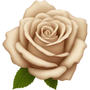 beige rose sticker