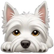 westie dormido sticker
