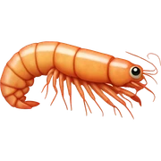 shrimp sticker